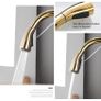 BRAND NEW Gold Kitchen Faucets Silver Single Handle Pull Out Kitchen Tap Single Hole Handle Swivel Degree Water Mixer Tap Mixer Tap 866011 Image 4