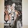 Bugaboo Bee We are a handsome Tiger Limited edition Image 2