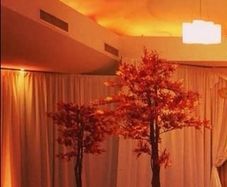 Autumn trees x4