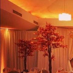 Autumn trees x4