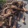 logs Image 4