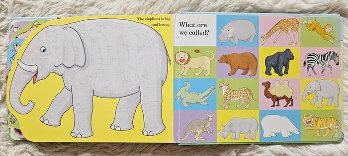 My Zoo by Rod Campbell