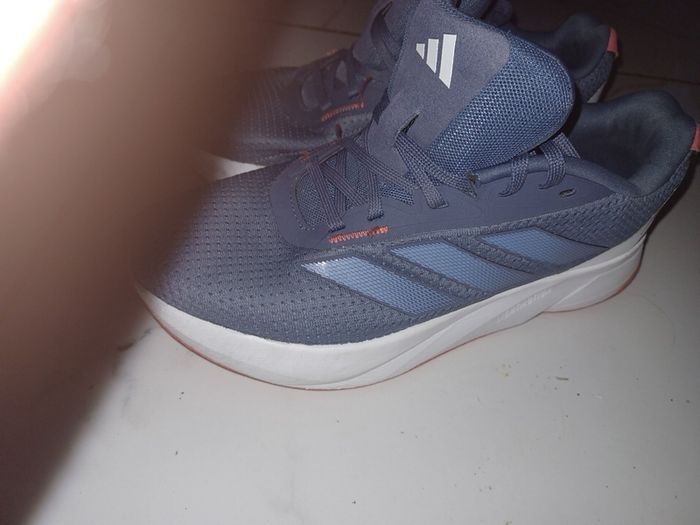 trainer/ Runners