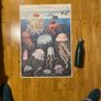 poster: oceanography of jellyfish Image 2