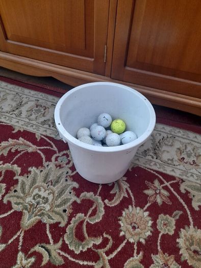 30 Golf Balls - Free