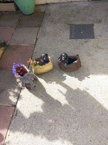 planter
