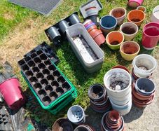 free pots
