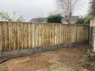 Garden Fencing Image 4