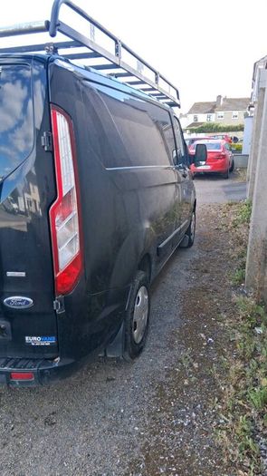 Ford transit trend