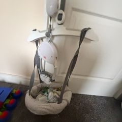 Baby door swing