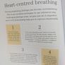 Mindful Pregnancy Book by Tracy Donegan Image 3