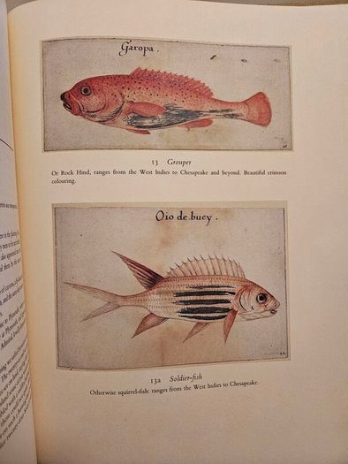 The First Colonists. Hakluyt's Voyage To North America. Introduction By A.l.rowse. All 16 Watercolours By John White. First Edition Second Print Large Volume Hardback In Good Condition   See Photos For Same.