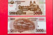 North Korea  5,000  Won    ( Uncirculated )pick Cs19  2013   ) Specimen