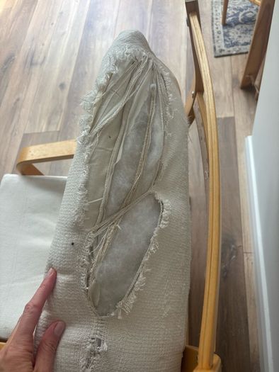 Ikea Poang