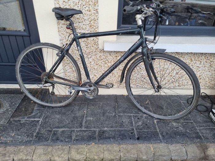 bike needs fixing