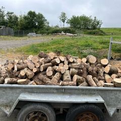 Firewood