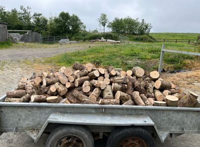Firewood