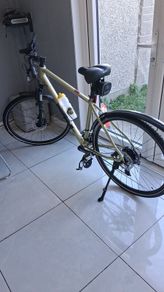 Hybrid mountain bike
