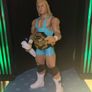 WWE Elites, Ultimates and Playsets Assortments Image 7