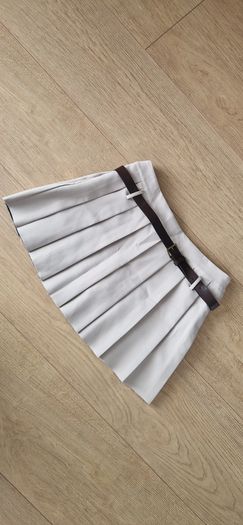 Pleated Skirt