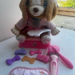 Pampered Paws puppy