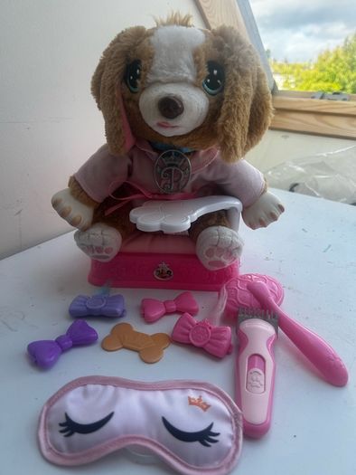 Pampered Paws puppy