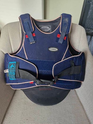 back brace