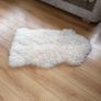 rug Image 3
