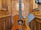 Taylor 814ce LTD 2024