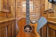 Taylor 814ce LTD 2024