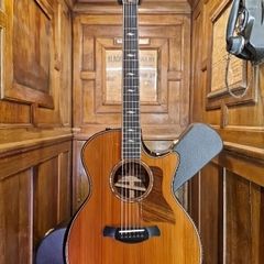 Taylor 814ce LTD 2024