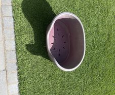 dog bed