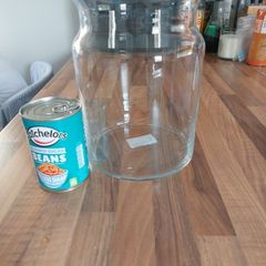 Goldfish Bowl