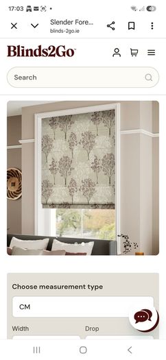 Roman blind new
