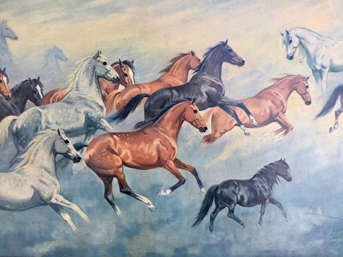 Large Framed Galloping Horses Print
