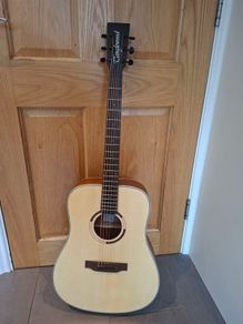 Guitar (Tanglewood) & case