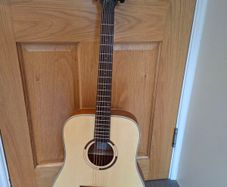 Guitar (Tanglewood) & case