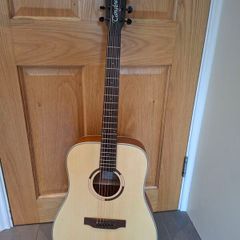 Guitar (Tanglewood) & case