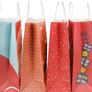 10 PCS Gift Bags, Retail Bags Paper Party Bags Kraft Bag with Handle for Birthday, Tea Party, Wedding (FREE POSTAGE) Image 4