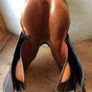 Stubben Jumping Saddle CS Image 4