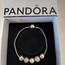 Beautiful Pandora Essence Bracelet  With 5 Charms Image 2