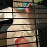 Hamster cage Image 4