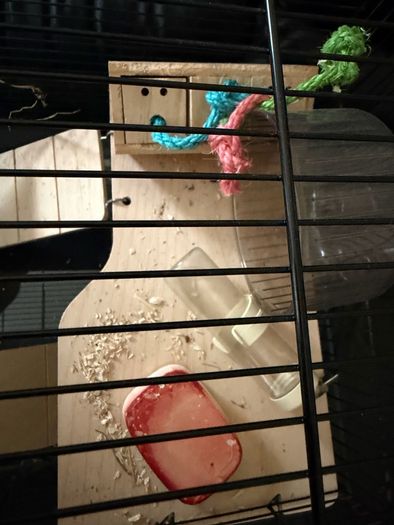 Hamster cage