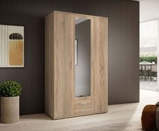 3Door Wardrobe with Mirror-Delivery and assembly