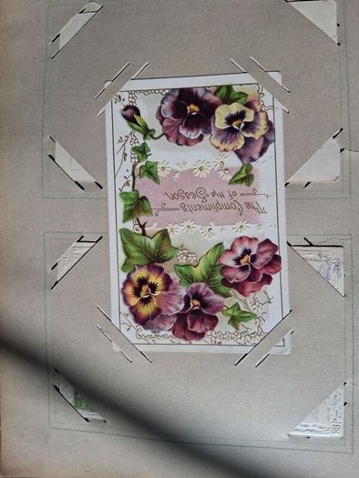 Mega Art Nouveau Postcard Album (197 Pieces)
