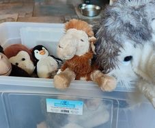 soft toys