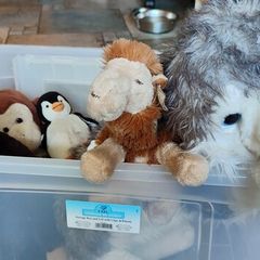 soft toys