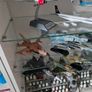 Hobby Master Diecast - RAF Tornado Image 7