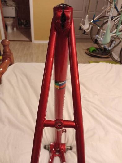 Bergundy Bottecchia SLX 56x56 road bike frame