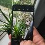 Xiaomi Redmi Note 11 4GB RAM / 128GB Storage + 128GB microSD Image 7